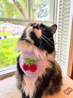 a black and white cat wearing a knitted strawberry sweater