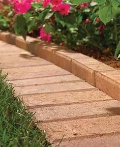 a bird is standing on the edge of a brick walkway in front of some flowers