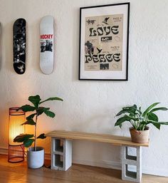 two skateboards mounted on the wall above a wooden bench and plant in a pot