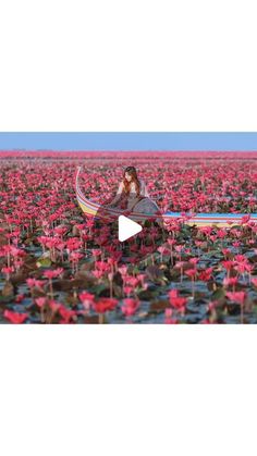 a woman sitting on a hammock in the middle of a field full of flowers