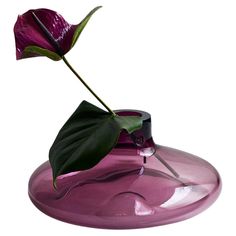 a purple vase with a single flower in it's center, on a white background