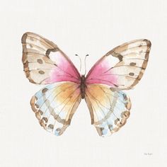 a watercolor painting of a butterfly with pink and yellow wings on it's wings