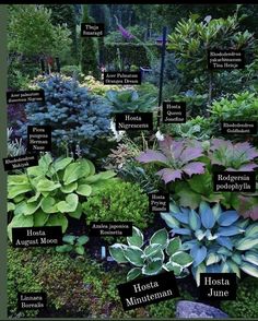 a garden with lots of different types of plants and flowers on it's sides