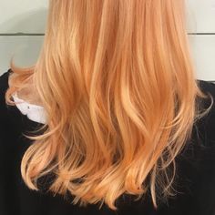 Apricot Hair, Peach Hair, Latest Hair Trends, Latest Hair, Hair Trend