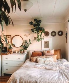 a bed sitting in a bedroom next to a window with plants on the wall above it