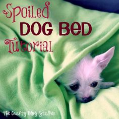 a small white dog laying on top of a bed covered in a green blanket with the words spoiled dog bed