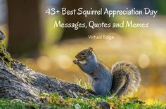 a squirrel sitting on the ground next to a tree with text that reads, best squirrel appreciation day messages, quotes and memes