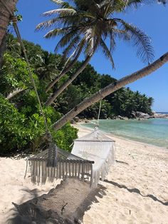 a hammock hanging from a palm tree on the beach