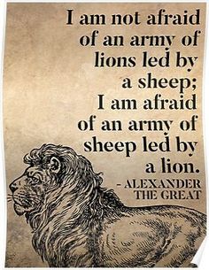 a lion with the quote i am not afraid of an army of lions led by a sheep poster