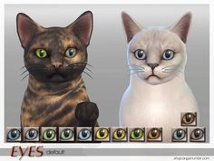 ShojoAngel's PetEyeSet2-Cats Sims 4 Cat, Sims 4 Controls, Sims Characters, Mermaid Cat, Sims 4 Cc Makeup, Sims Games, Pet Kitten, Cat Door