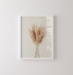 a white frame with some dried flowers in it