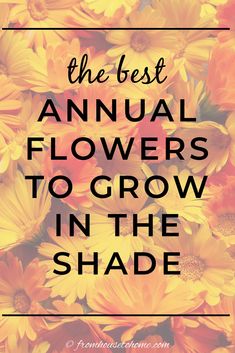 If you have a yard that's full of shade, don't stress. You can still enjoy a bright, vibrant garden with the addition of these shade annuals! From ferns to fuchsia to caladium and so many more, your options are endless! Container Gardening Shade, Shade Plants Container, Garden Full Of Flowers, Shade Annuals, Full Sun Flowers, Perennial Ground Cover, Flowers To Grow, Summer Flowers Garden