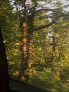 trees are seen through the window of a vehicle