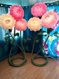 three large pink and white flowers are on display in front of a blue curtained window