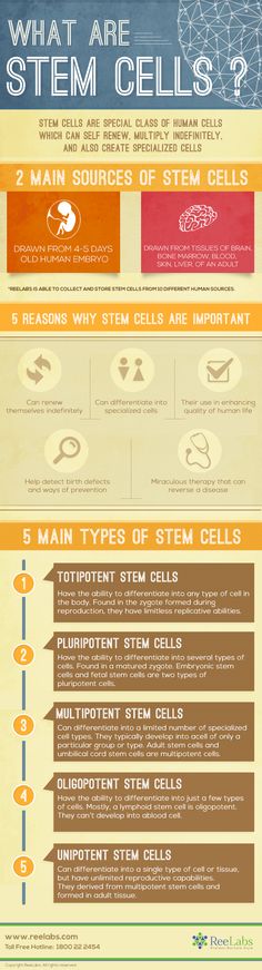 an info poster showing the different types of cell phones and their functions to control them