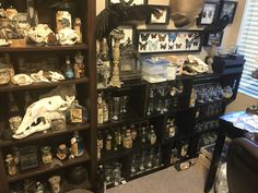 a room filled with lots of different types of figurines on shelves next to a window