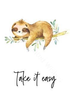 a watercolor slotty sleeping on a branch with the words take it easy