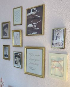 a wall with many framed pictures on it