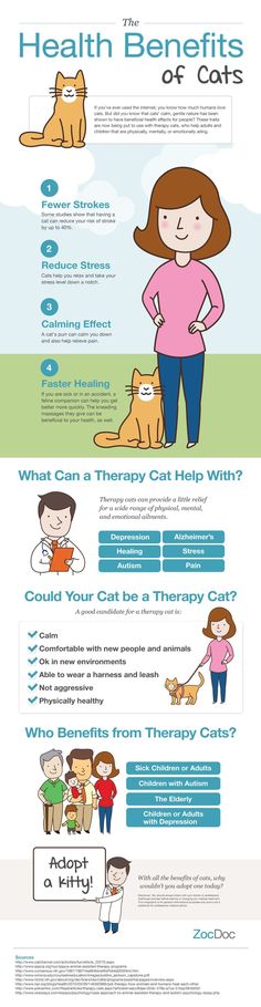 the health benefits of cats and dogs infographicly displayed on a whiteboard with blue text