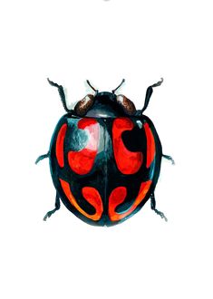 a drawing of a ladybug sitting on top of a white surface next to a flying insect