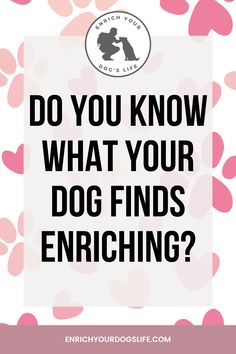 Do you know what your dog finds enriching? what does my dog like canine enrichment Dog Finds, Dog Behaviorist, Dog Travel Bag, Dog Puzzles