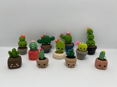 there are many small cactus plants in the pots