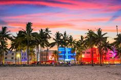 palm trees line the beach in front of a hotel at sunset with people walking on the sand