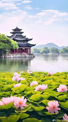 the water lilies are blooming in front of the pagoda