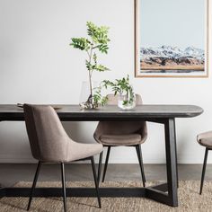 a dining room table with two chairs and a potted plant