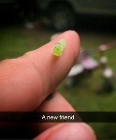 a tiny green bug sitting on top of a persons finger in front of a car