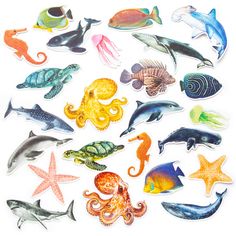 an assortment of sea animals are shown on a white background, including dolphins and octopuses