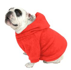 a small dog wearing a red hoodie