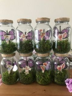 several glass jars filled with moss and butterflies on top of a wooden table next to a purple flower