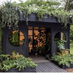 an outdoor room with plants and potted plants on the outside, surrounded by wooden decking