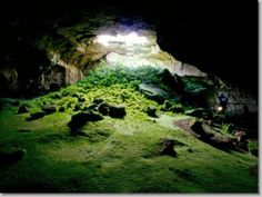 an image of the inside of a cave with green grass and rocks in front of it