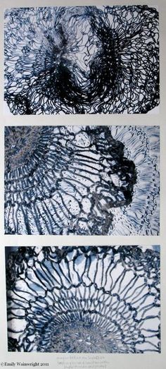 three pictures of different patterns in black and white, each with blue ink on paper