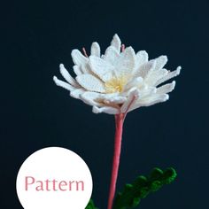 a crocheted white flower with the word pattern on it's bottom corner