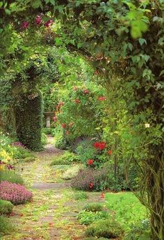 an archway in the middle of a garden filled with lots of flowers and greenery