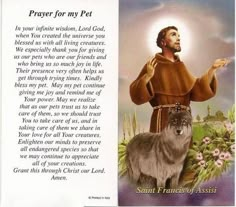 an image of the saint for my pet with his wolf and flowers in the background