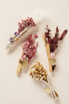 four dried flowers are laid out on a white surface, one is purple and the other is red