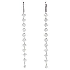 PANIM Diamond Briolette 18K White Gold Floral Dangling Earrings From our Floral line, these exquisite 18K White Gold Diamond Briolette drop earrings. White diamond briolettes in the form of flowery drops are used to create these earrings. It is elegantly simple at its core. The timeless elegance and refinement of vintage high-jewelry served as the inspiration for the Waterfall Collection, which immortalised its beauty and offered a range of elegant styles. These earrings were expertly crafted wi Briolette Earrings, Diamond Dangle Earrings, White Gold Necklaces, White Gold Earrings, Earrings White, Dangling Earrings, Lovely Jewellery, Gold Earrings Dangle, Gold Floral