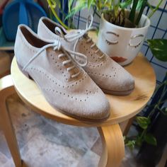 New Never Worn Susina Oxford. Very Comfortable Size 5.5 Elegant Spring Suede Lace-up Shoes, Shoes Comfortable, Flat Shoes Women, Comfortable Shoes, Loafer Flats, Oxford, Loafers, Women Shoes, Women Shopping