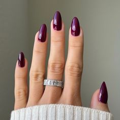 Rosewood #428 – DND Gel Dnd Plum Passion, Winter Nail Colors Dnd, Dark Purple Gel Nails, Dnd Winter Nail Colors, Plum Nail Color, Deep Purple Nails, Plum Nails, Nail Tip Designs, Band Nails