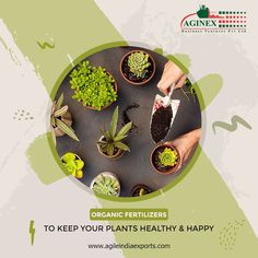 an advertisement for organic fertilizers to keep your plants healthy and happy on the table