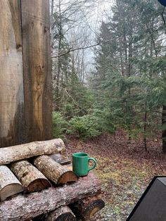 a green mug sitting on top of a pile of logs in front of a forest