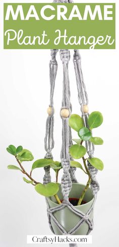 a macrame plant hanger with plants in it and text overlay that reads, macrame plant hanger