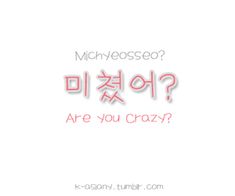 the words are written in korean and english on a white background with red lettering that reads are you crazy?