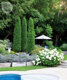 a pool surrounded by lush green trees and white flowers