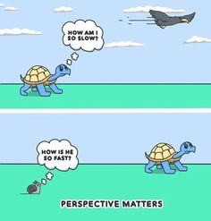 two cartoon images with turtles and birds in the sky, one saying how am i to slow