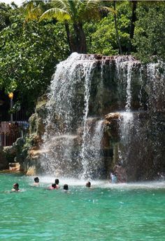 people are swimming in the water near a waterfall